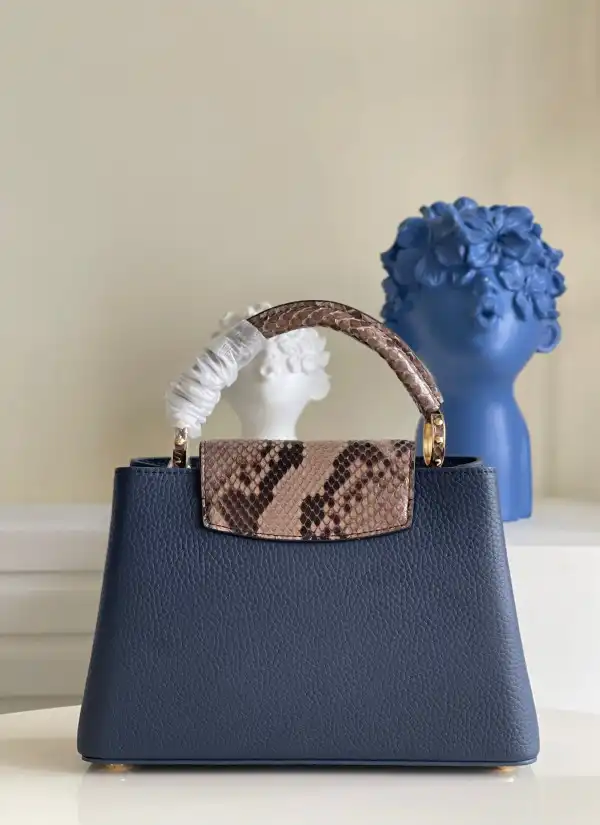 First bag ru LOUIS VUITTON CAPUCINES BB