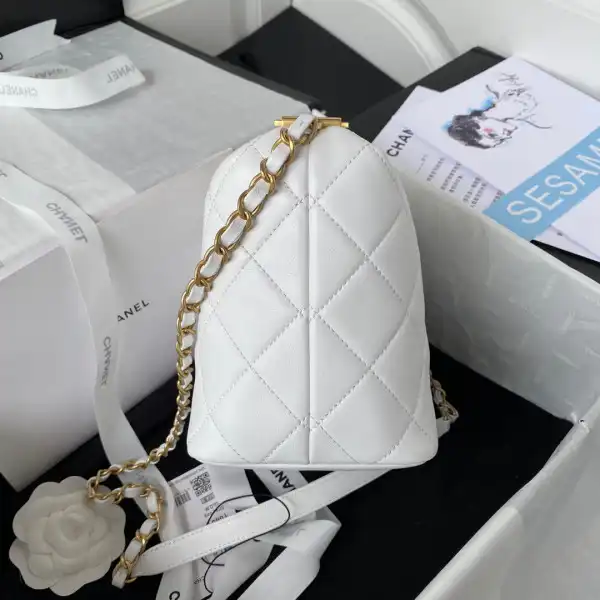 First bag ru CHANEL SMALL HOBO BAG