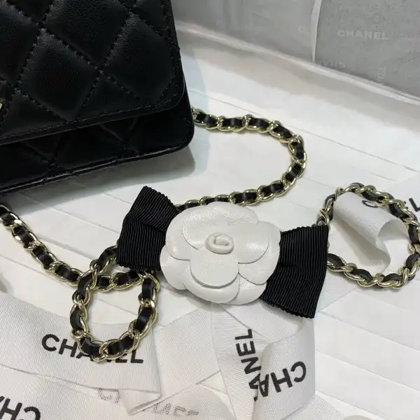 First bag ru CHANEL MINI WALLET ON CHAIN