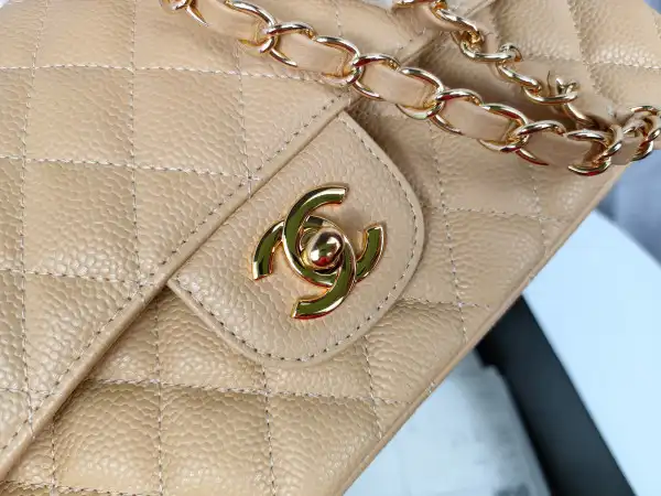 CHANEL CHANELASSIC HANDBAG