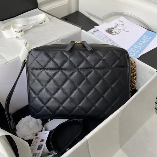 CHANEL camera bag