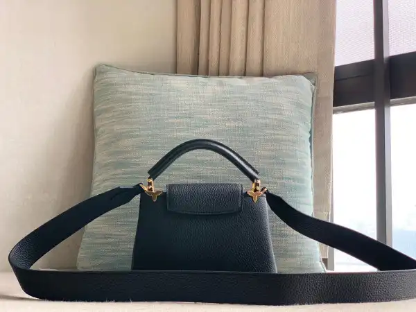 Affordable LOUIS VUITTON CAPUCINES MINI