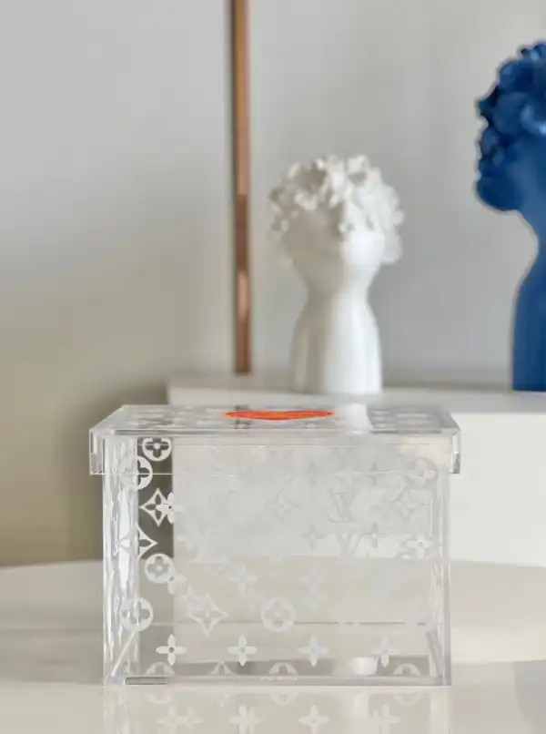 Affordable LOUIS VUITTON TRANSPARENT BOX