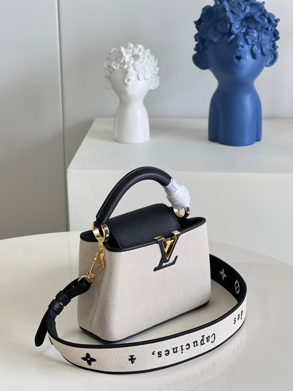 LOUIS VUITTON CAPUCINES MINI