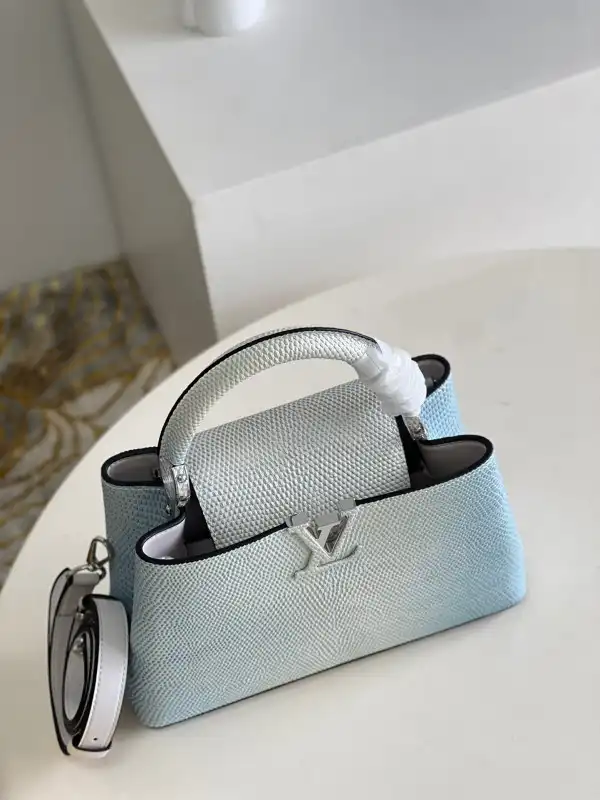 Affordable LOUIS VUITTON CAPUCINES BB