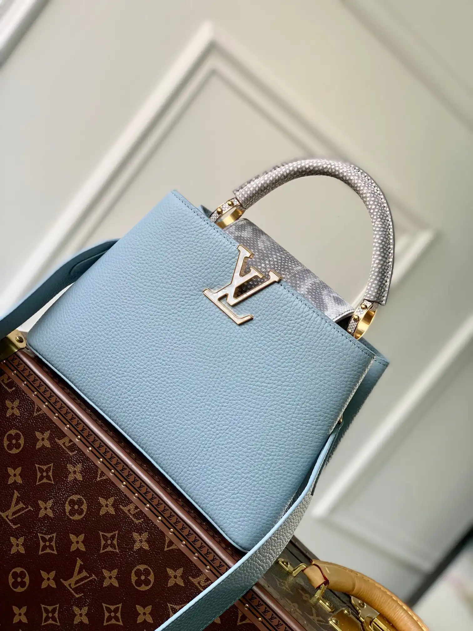 First Bag Ru LOUIS VUITTON CAPUCINES BB