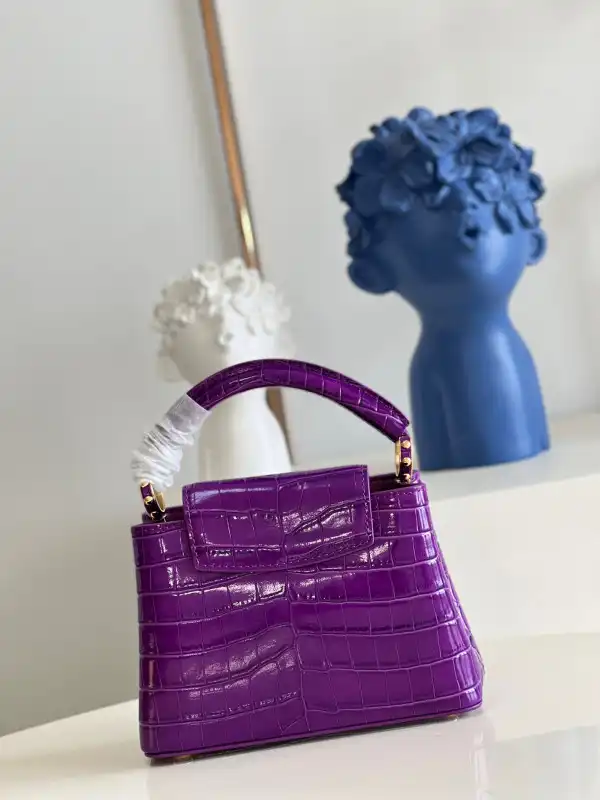 LOUIS VUITTON CAPUCINES MINI