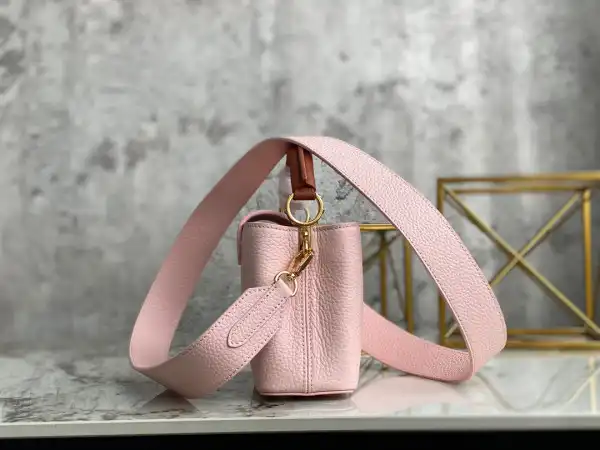 LOUIS VUITTON CAPUCINES MINI