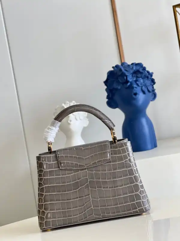 First bag ru LOUIS VUITTON CAPUCINES BB