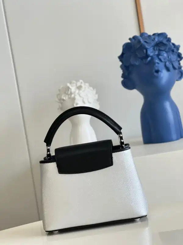 Affordable LOUIS VUITTON CAPUCINES MINI