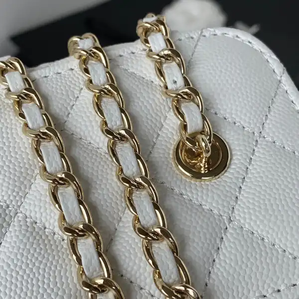 CHANEL SMALL VANITY WITH CHANELASSIC CHAIN