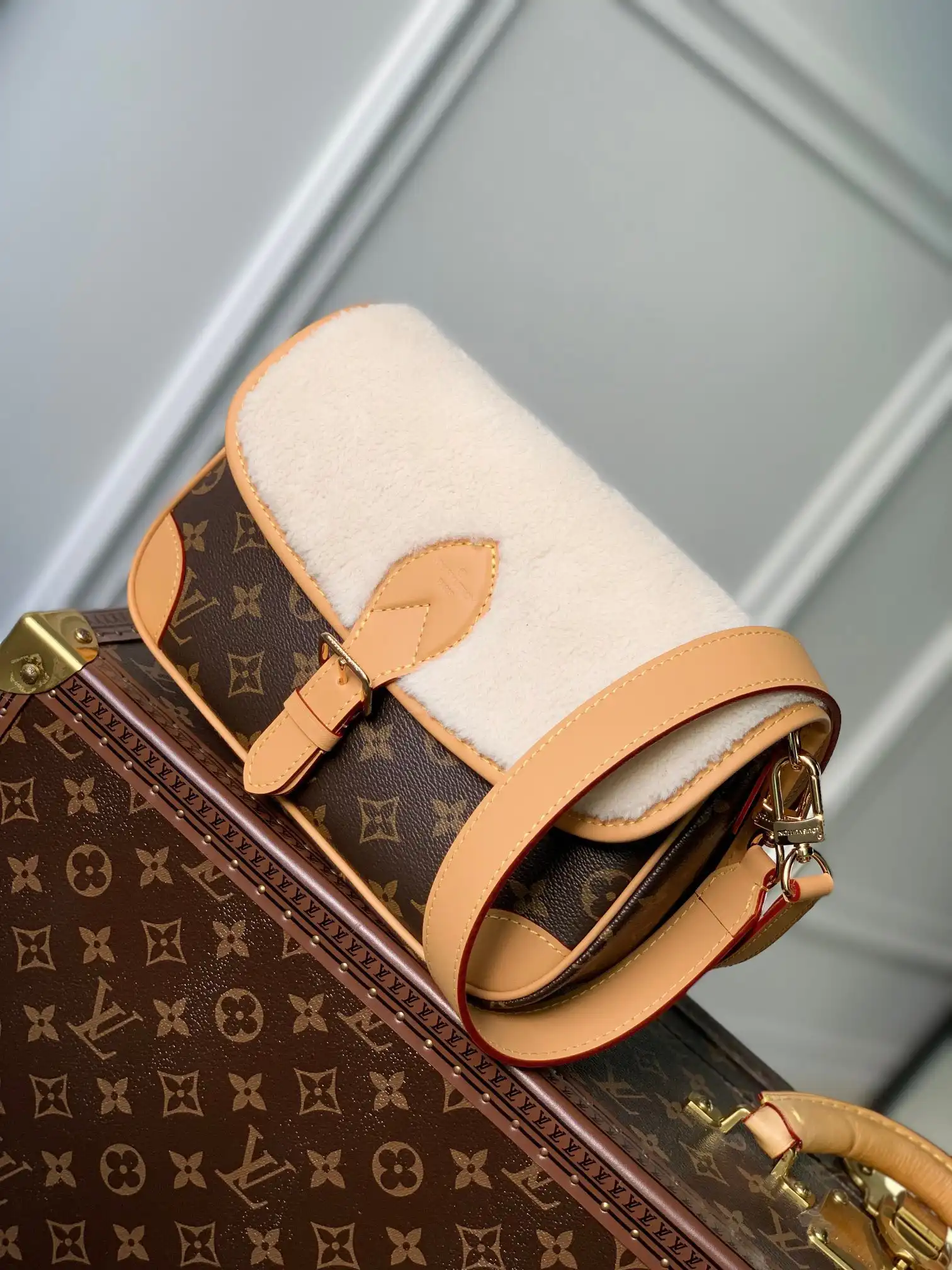 First bag ru LOUIS VUITTON Nano Diane