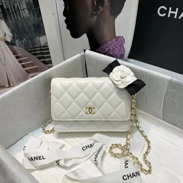 CHANEL MINI WALLET ON CHAIN