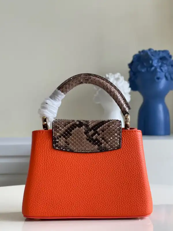 First bag ru LOUIS VUITTON CAPUCINES MINI