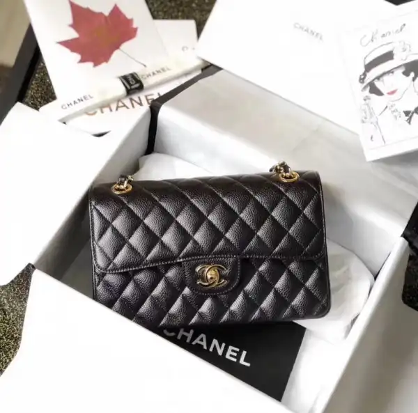 CHANEL FLAP BAG 23CM