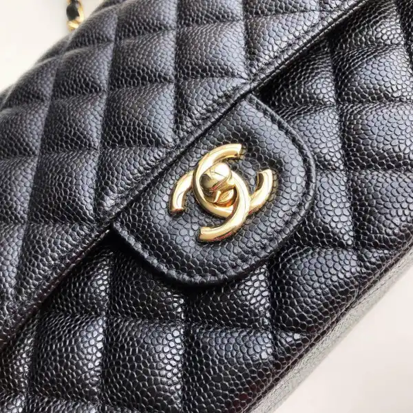 CHANEL FLAP BAG 2.55