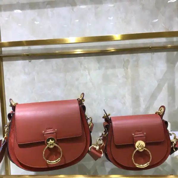 CHLOÉ SMALL LARGE TESS BAG