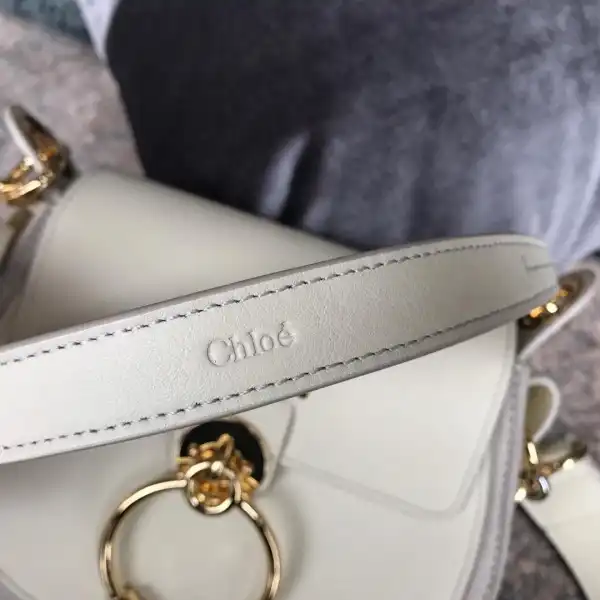 CHLOÉ SMALL TESS BAG