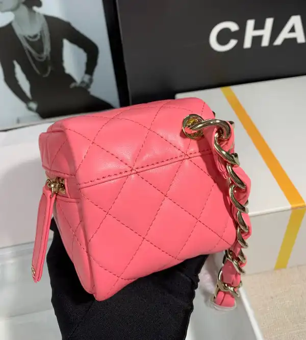 CHANEL CHANELUTCH WITH HANDLE