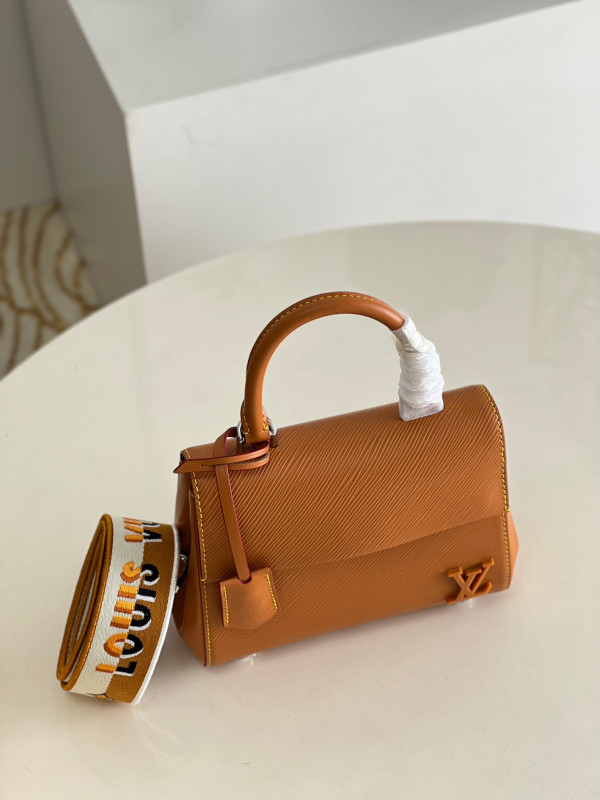 LOUIS VUITTON CLUNY MINI