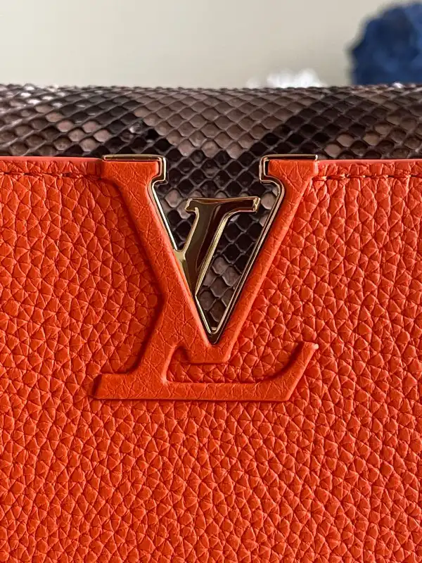 First bag ru LOUIS VUITTON CAPUCINES BB