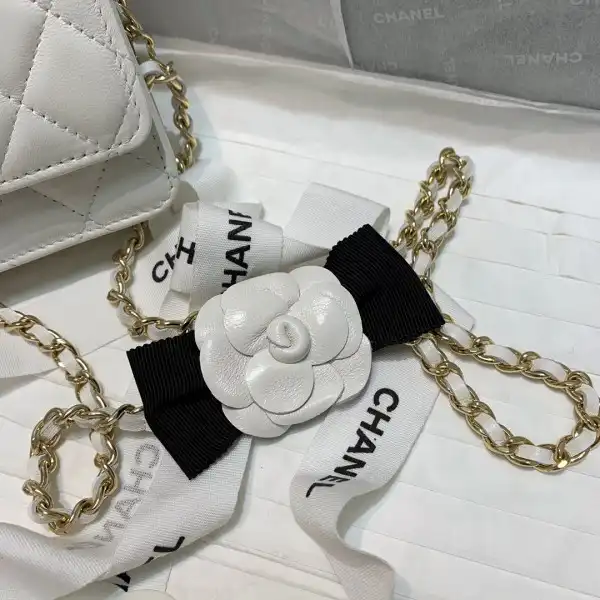 CHANEL MINI WALLET ON CHAIN