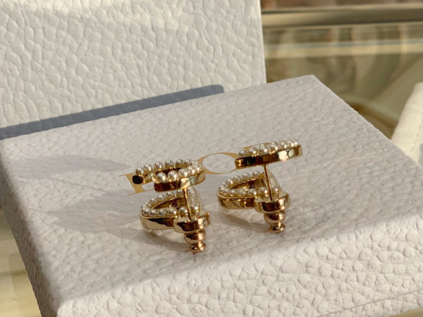 HOT SALE dior EARRINGS