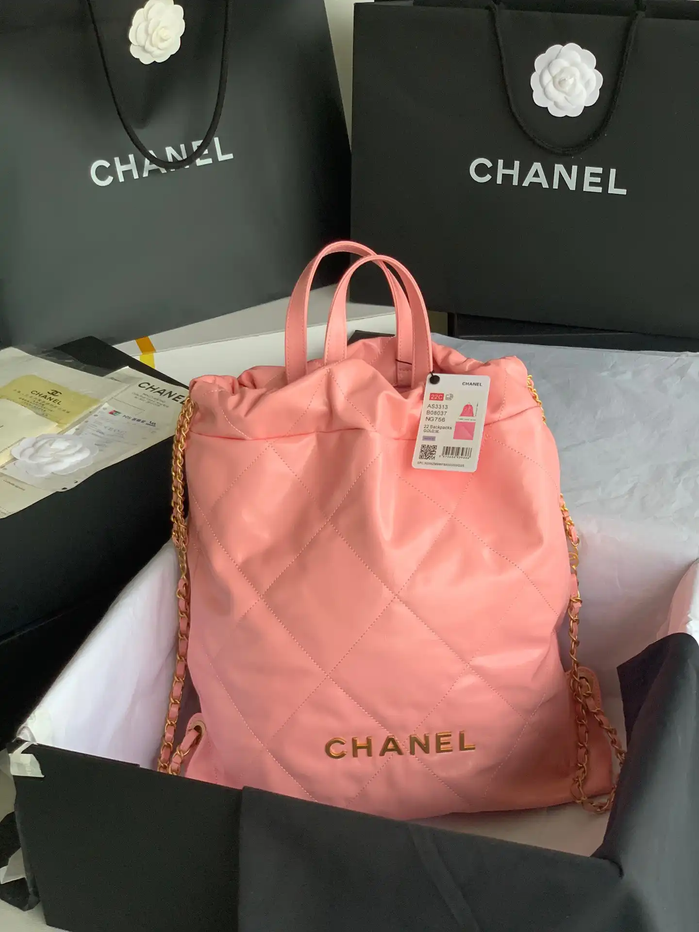 CHANEL LARGE BACKPACK 22