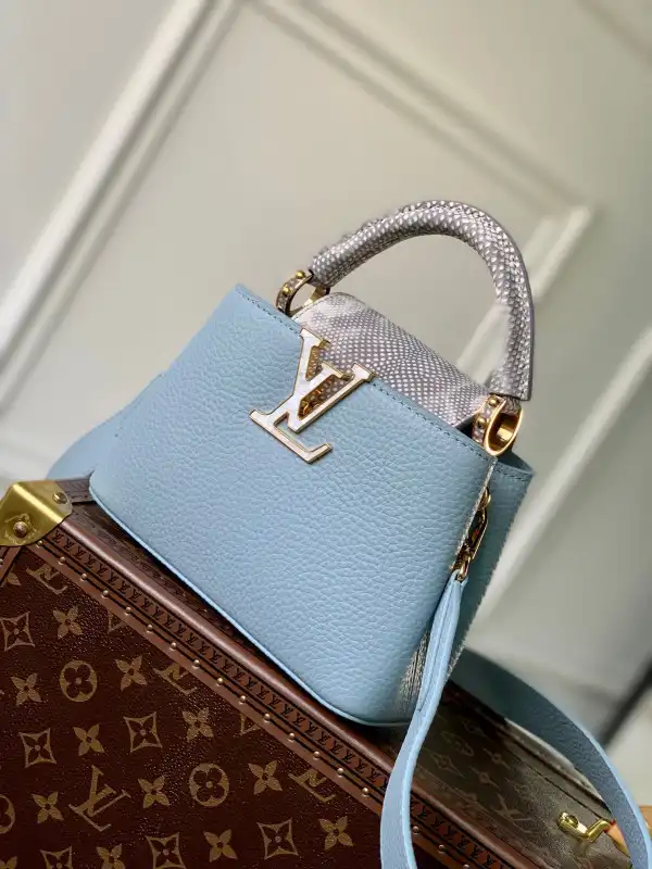 Cheap LOUIS VUITTON CAPUCINES MINI