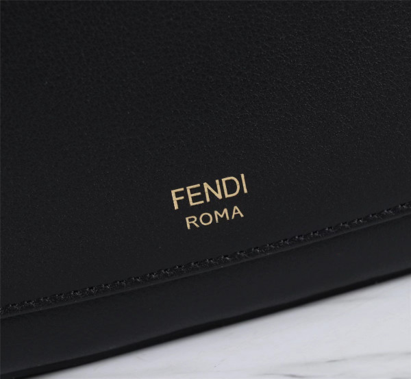 HOT SALE FENDI CAMERA BAG