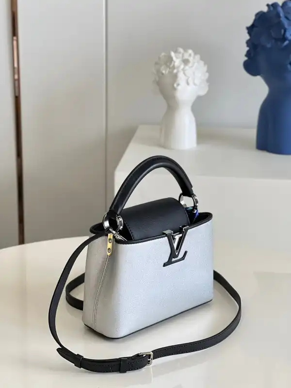 Affordable LOUIS VUITTON CAPUCINES MINI