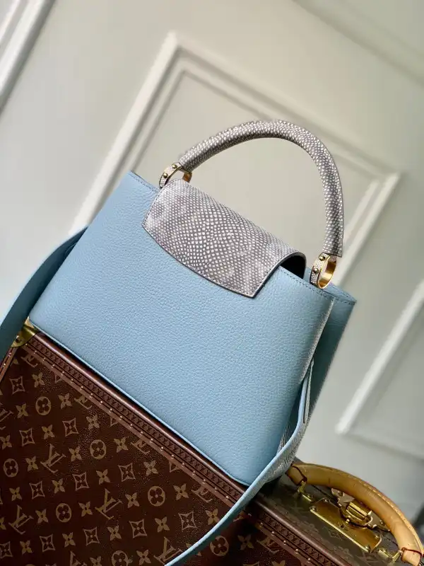 LOUIS VUITTON CAPUCINES MM