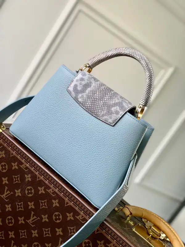 First bag ru LOUIS VUITTON CAPUCINES BB