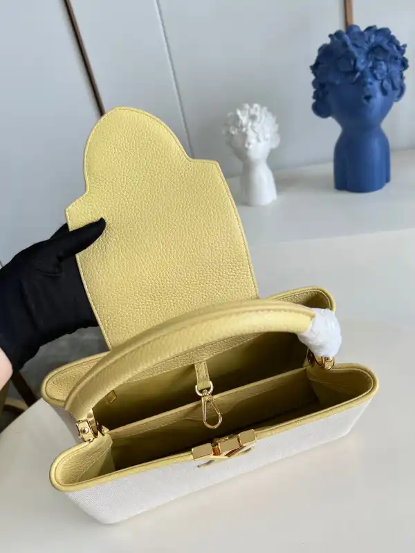 Cheap LOUIS VUITTON CAPUCINES MM