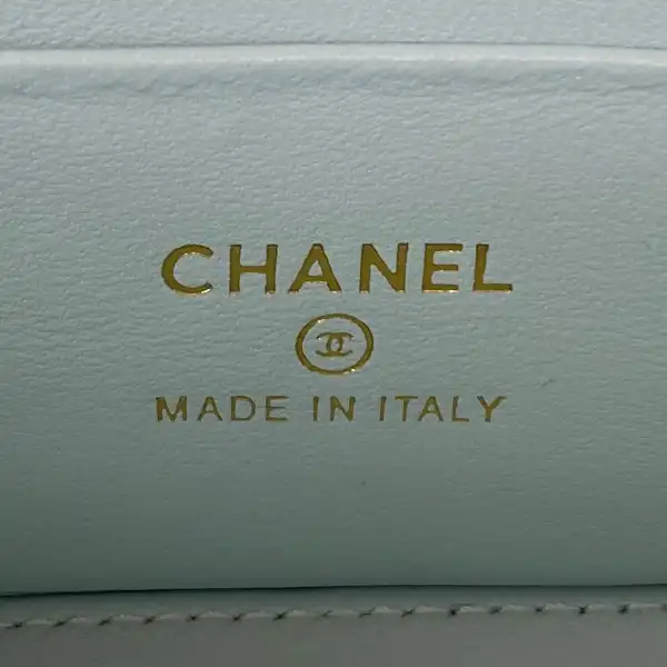 CHANEL SMALL VANITY WITH CHANELASSIC CHAIN