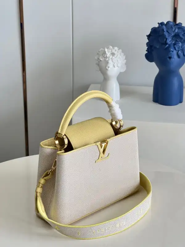 LOUIS VUITTON CAPUCINES MM