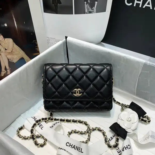 First bag ru CHANEL MINI WALLET ON CHAIN