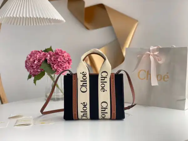 First bag ru CHLOÉ small woody tote bag