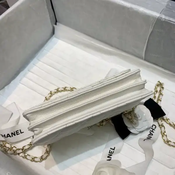 CHANEL MINI WALLET ON CHAIN