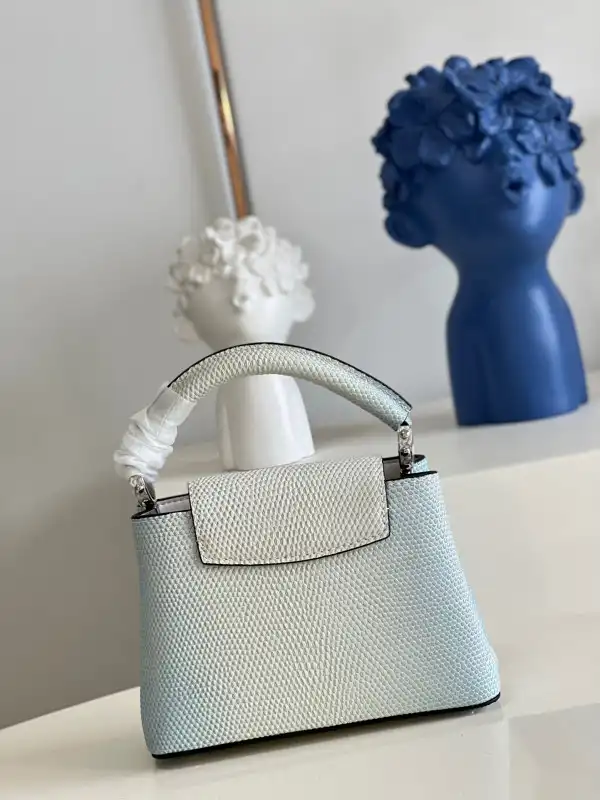 LOUIS VUITTON CAPUCINES MINI