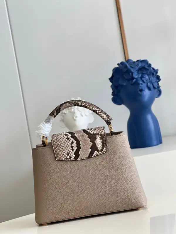 Cheap LOUIS VUITTON CAPUCINES BB