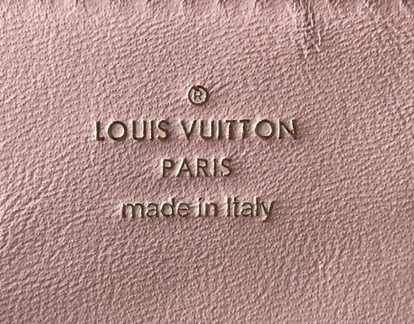 [FREE SHIPPING] LOUIS VUITTON LIMITED EDITION - POCHETTE COUSSIN