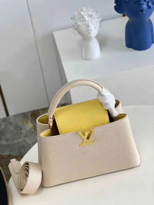 LOUIS VUITTON CAPUCINES MM