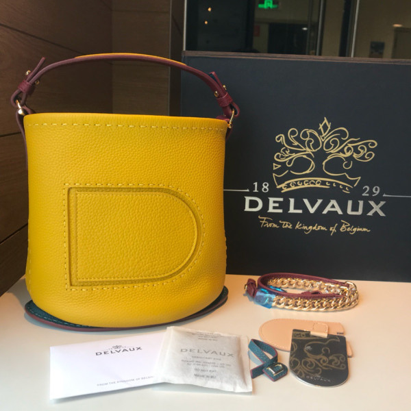 HOT SALE DELVAUX Pin Mini Bucket