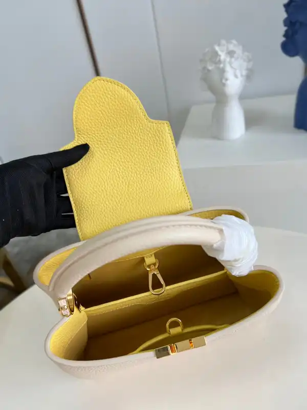 Cheap LOUIS VUITTON CAPUCINES BB