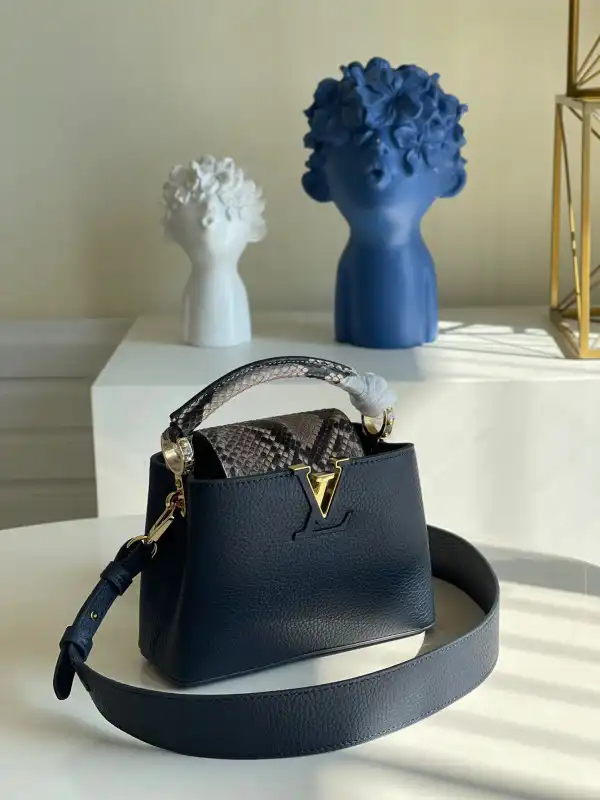 Rep LOUIS VUITTON CAPUCINES MINI