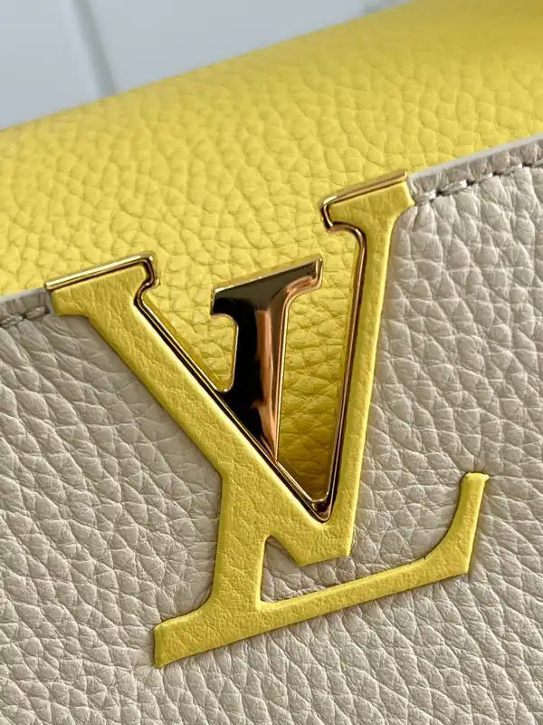 LOUIS VUITTON CAPUCINES MM