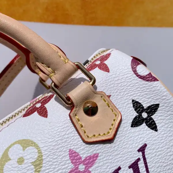 Louis Vuitton NANO SPEEDY