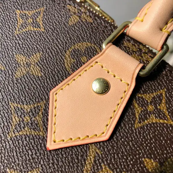 Louis Vuitton ALMA PM