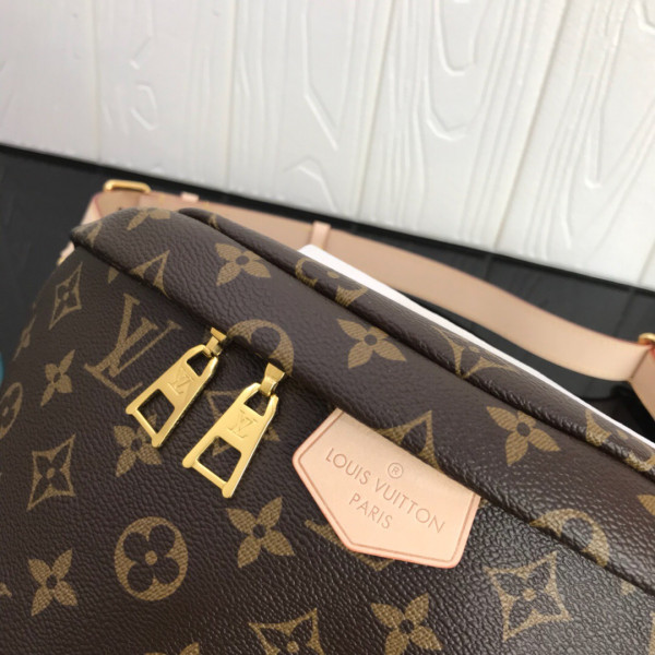 HOT SALE Louis Vuitton Bumbag